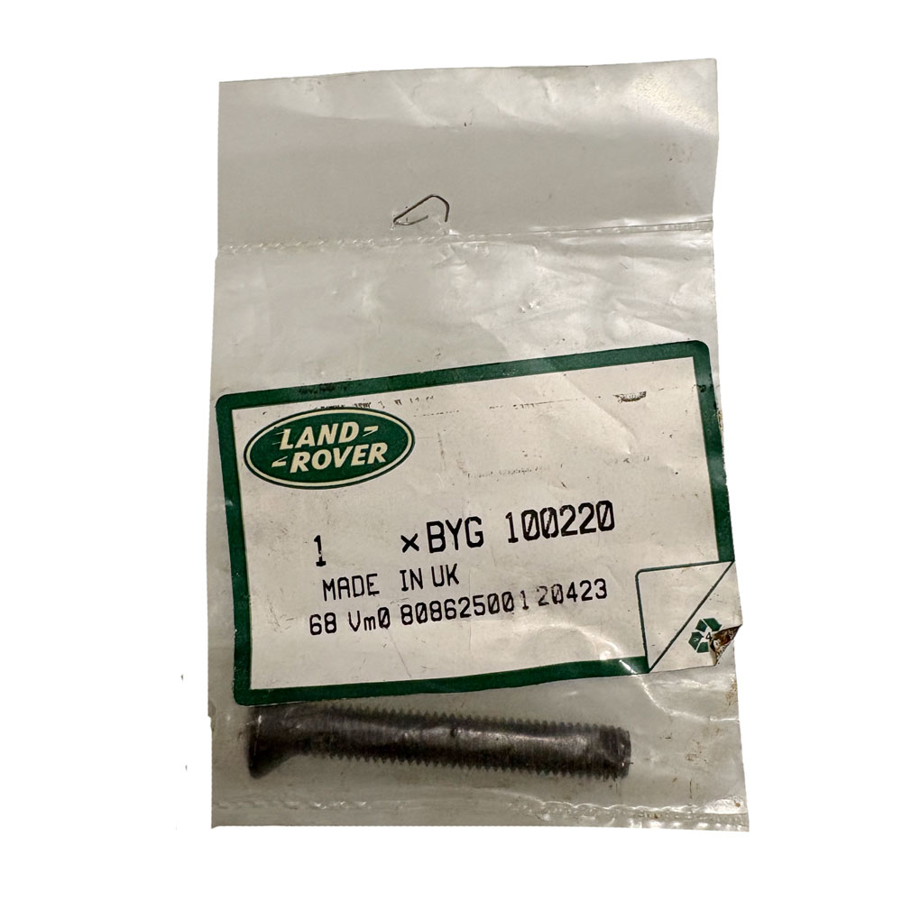 Door Hinge Torx Screw BYG100220